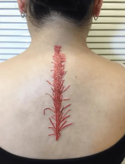 Red Blazing Star Wildflower Back Tattoo